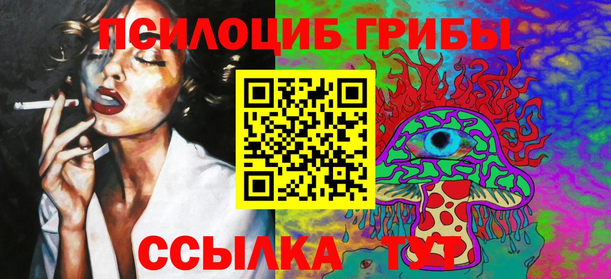 Псилоцибиновые грибы GOLDEN TEACHER Елизово