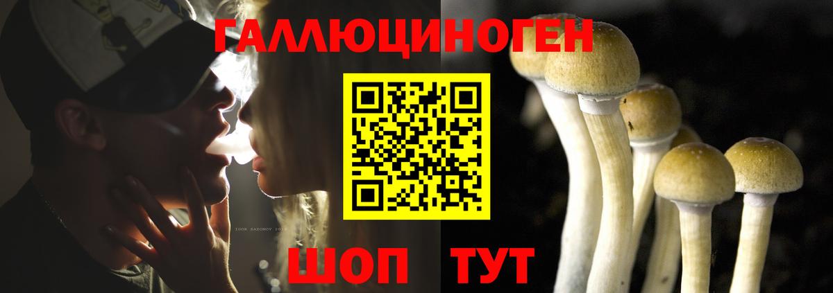 купить наркоту  Псилоцибиновые грибы мухоморы  Вход с VPN  Елизово 